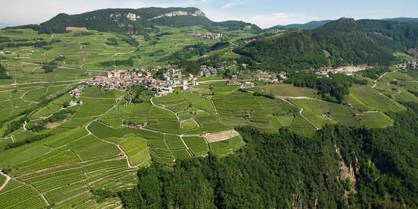 Immagine decorativa per il contenuto Distretto famiglia Valle di Cembra