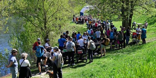 Immagine decorativa per il contenuto Passeggino marathon: oltre 500 partecipanti attorno al lago di Terlago