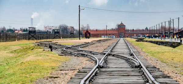 Immagine decorativa per il contenuto Viaggio nella memoria ad Auschwitz per 175 giovani trentini