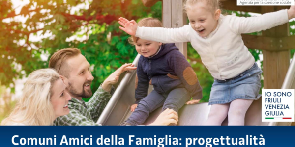 Immagine decorativa per il contenuto Webinar: Comuni a misura di famiglia, pianificazione strategica e finalità