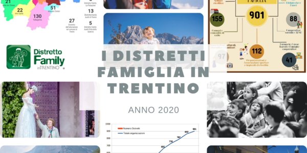 Immagine decorativa per il contenuto Distretti famiglia 2020: bilancio di un anno