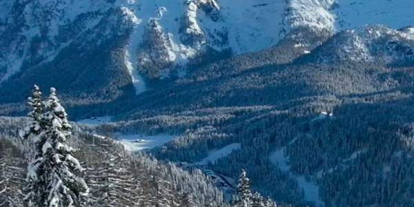 Immagine decorativa per il contenuto Lo Sporting Club Madonna di Campiglio ASD si è certificato “Family in Trentino”