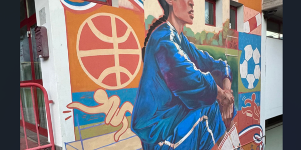 Immagine decorativa per il contenuto Inaugurazione di un murales "Ok, Boomer" a Villa Lagarina