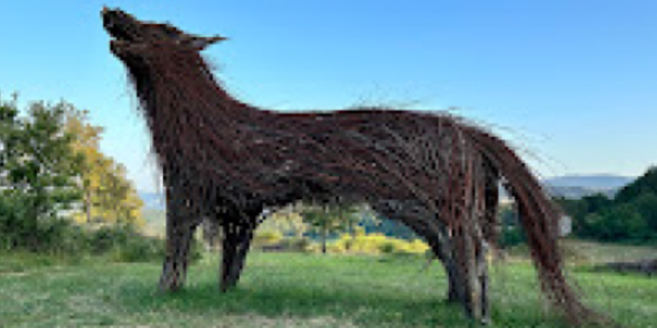 Immagine decorativa per il contenuto Il Network Family in Italia cresce: entra l'associazione Viva il Verde