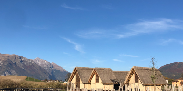Immagine decorativa per il contenuto Trentino Archeo Pass: gli abbonamenti annuali ai siti e musei archeologici 