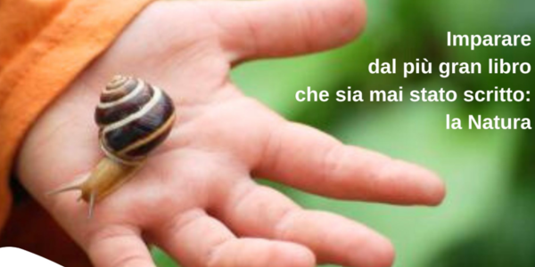 Immagine decorativa per il contenuto Nuovo partner vantaggi nell'EuregioFamilyPass