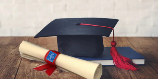Immagine decorativa per il contenuto “La famiglia è viva!” – Quinto bando Anfn per tesi di laurea