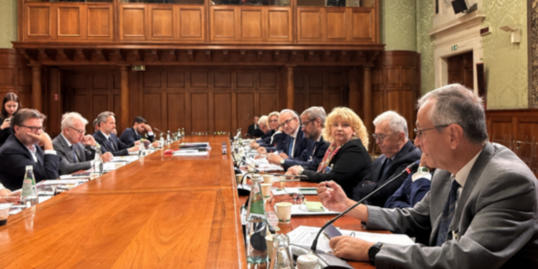 Immagine decorativa per il contenuto Associazione Nazionale Famiglie Numerose a Palazzo Chigi: proposte concrete per le famiglie numerose