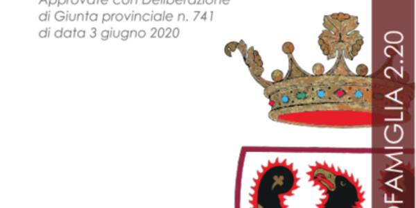 Immagine decorativa per il contenuto 2.20 Linee guida della Provincia autonoma di Trento per la gestione in sicurezza dei servizi conciliativi ed estivi 2020 per bambini e adolescenti