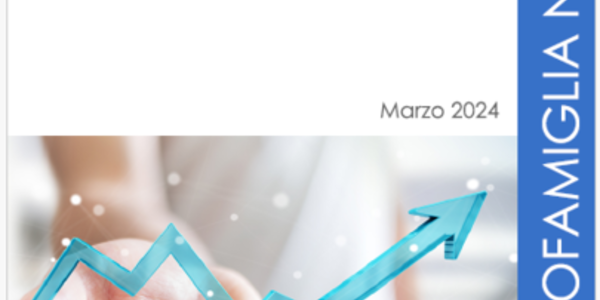 Immagine decorativa per il contenuto 3.38 Strumenti del New public family management