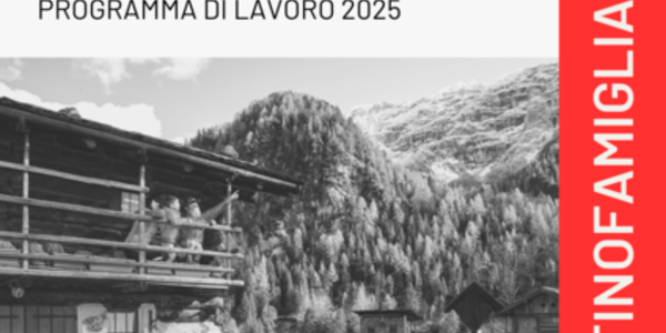 Immagine decorativa per il contenuto 7.10 Programma di lavoro Distretto famiglia Altipiani Cimbri 2025