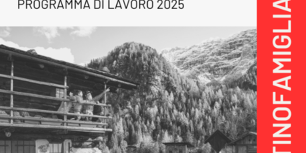 Immagine decorativa per il contenuto 7.11 Programma di lavoro Distretto famiglia Valle dei Laghi 2025