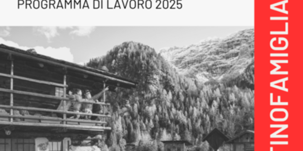 Immagine decorativa per il contenuto 7.16 Programma di lavoro Distretto famiglia della Paganella 2025