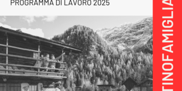 Immagine decorativa per il contenuto 7.2 Programma di lavoro Distretto famiglia Val di Non 2025