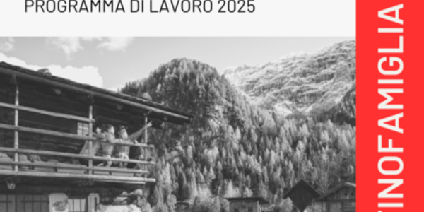 Immagine decorativa per il contenuto 7.20 Programma di lavoro Distretto Famiglia nell'Alta Valsugana e Bernstol 2025