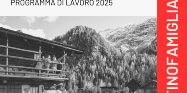 Immagine decorativa per il contenuto 7.31 Programma di lavoro Distretto dell'educazione - Trento 2025