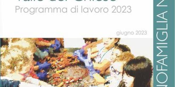 Immagine decorativa per il contenuto 7.32 Programma di lavoro Distretto Famiglia nella Valle del Chiese 2023