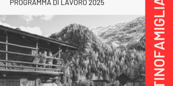 Immagine decorativa per il contenuto 7.5 Programma di lavoro Distretto famiglia Val di Sole 2025