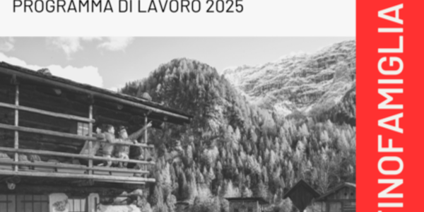 Immagine decorativa per il contenuto 7.54 Programma di lavoro Distretto Family Audit Città della Quercia 2025