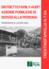 Immagine decorativa per il contenuto 7.64 Programma di lavoro Distretto Family Audit di Aziende pubbliche di servizi alla persona 2025
