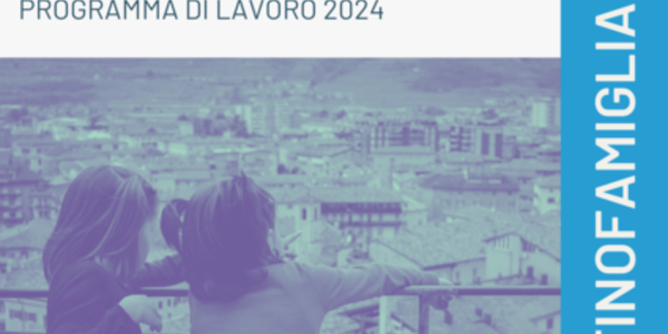 Immagine decorativa per il contenuto 7.65 Programma di lavoro Distretto Family Audit Alta Valsugana 2024