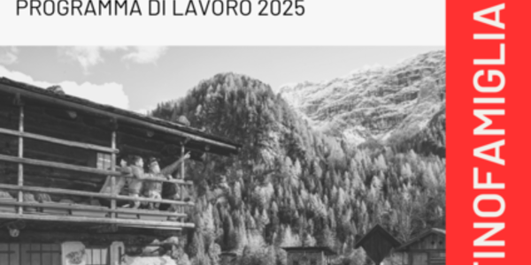 Immagine decorativa per il contenuto 7.65 Programma di lavoro Distretto Family Audit Alta Valsugana 2025