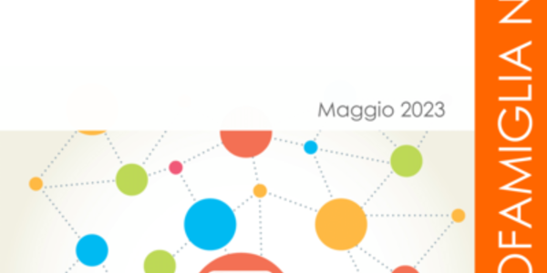 Immagine decorativa per il contenuto 7.67 Network e certificazione Family in Italia - Stato di attuazione 2022