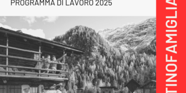 Immagine decorativa per il contenuto 7.7 Programma di lavoro Distretto famiglia Alto Garda 2025