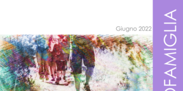 Immagine decorativa per il contenuto 7.7 Programma di lavoro Distretto Famiglia nell'Alto Garda