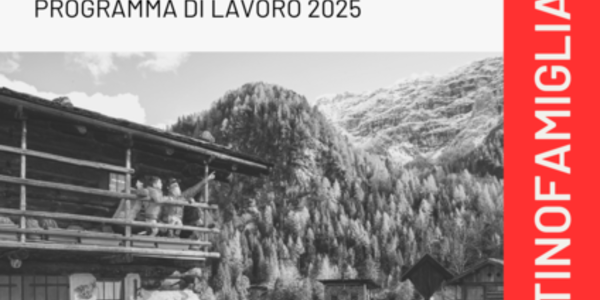 Immagine decorativa per il contenuto 7.9 Programma di lavoro Distretto famiglia Rotaliana Königsberg 2025
