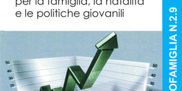 Immagine decorativa per il contenuto Rapporto di gestione anno 2013