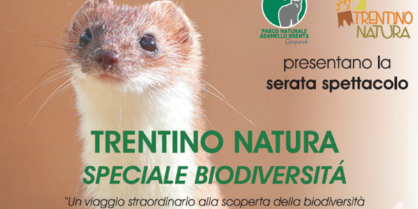 Immagine decorativa per il contenuto A Pinzolo il "TrentinoNatura Speciale Biodiversità"