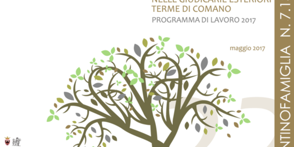 Immagine decorativa per il contenuto Programma di lavoro del Distretto famiglia Giudicarie esteriori-Terme di Comano